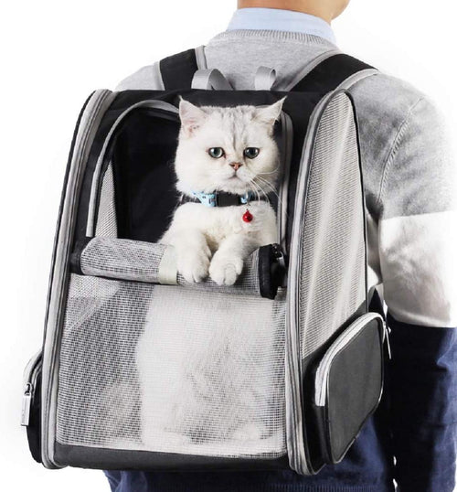 Innovative Traveler Bubble Backpack Pet Carriers for Cats and Dogs (Grey)