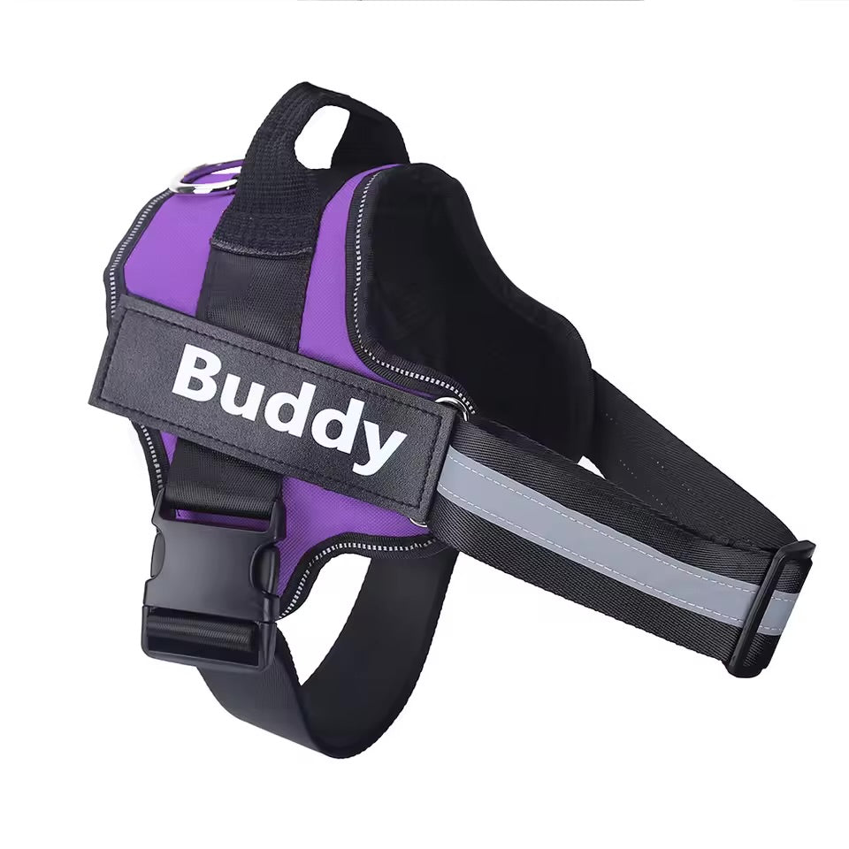 Custom Name No-Pull Dog Harness