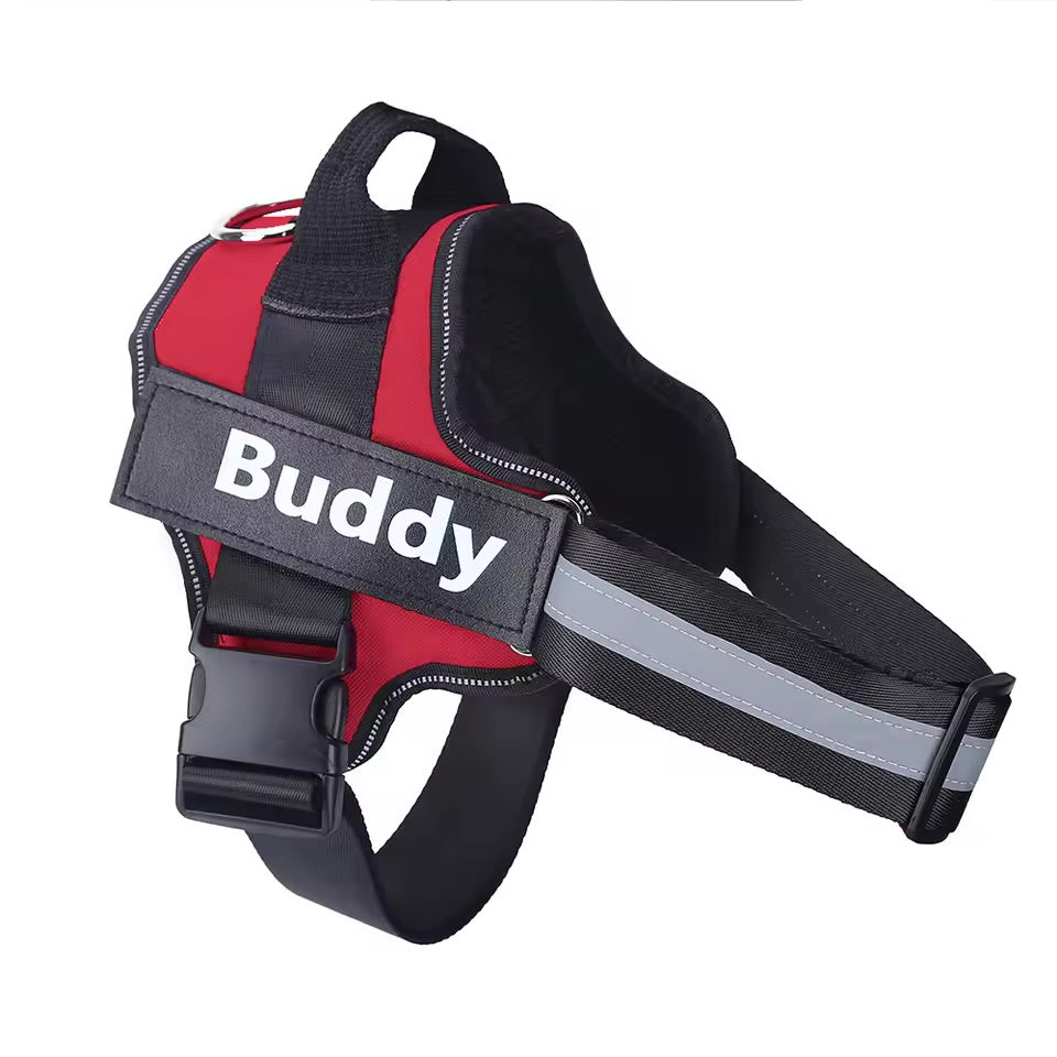 Custom Name No-Pull Dog Harness