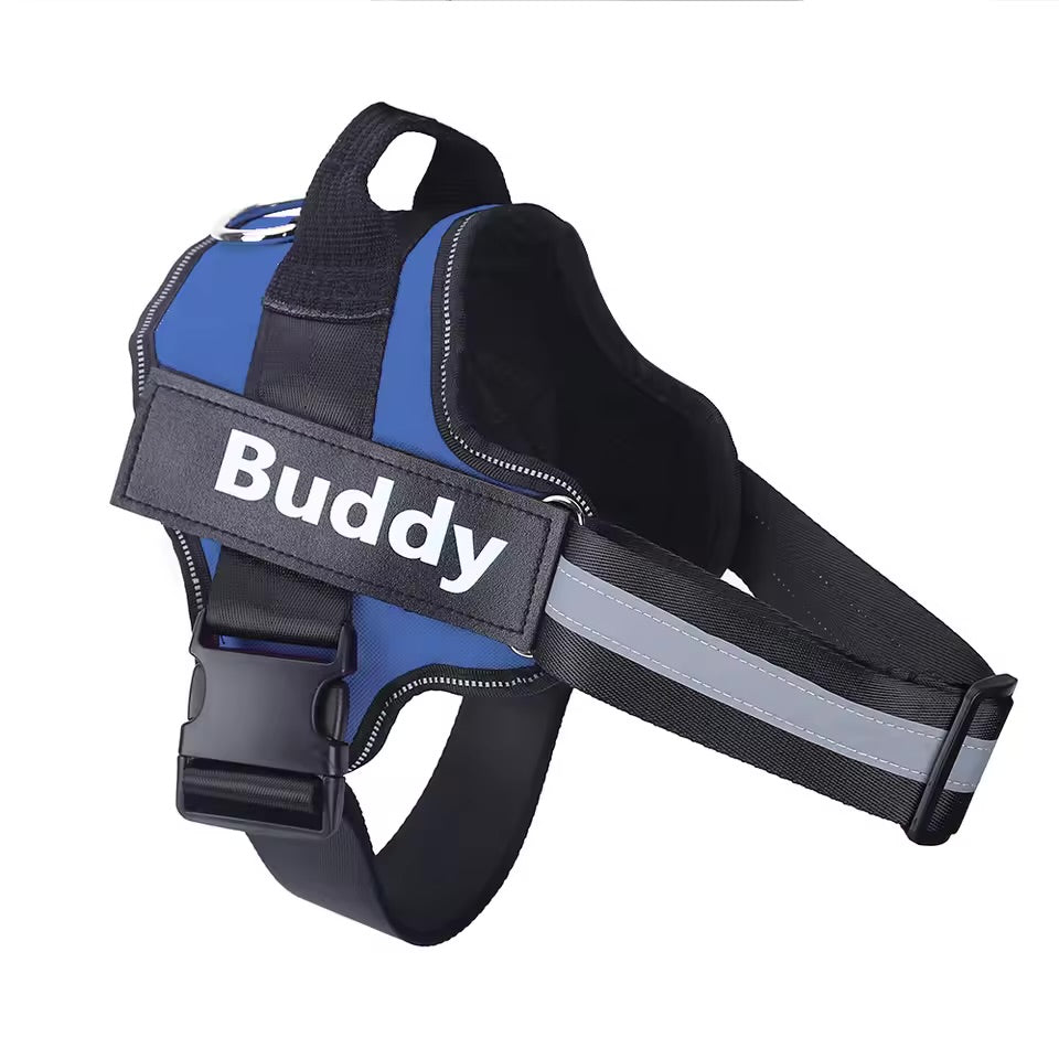 Custom Name No-Pull Dog Harness