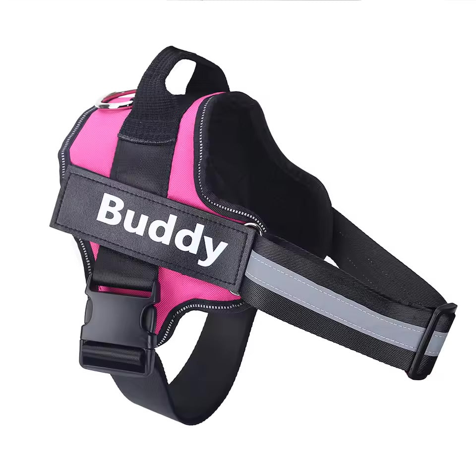 Custom Name No-Pull Dog Harness