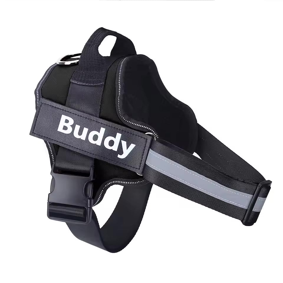 Custom Name No-Pull Dog Harness
